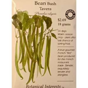  Bush Beans Stringless Tavera Certified Organic Seeds 18 