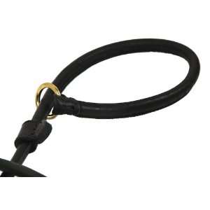 : DT Slip Rolled Leather Leash   Dean & Tylers New 2 in 1 Slip Leash 