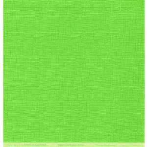   Coredinations Vintage Cardstock 12X12 Kilt Green