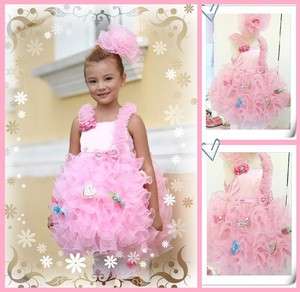   NEW Pink Princess Fantacy Ruffle Pageant Party Holiday Dress LIMITED