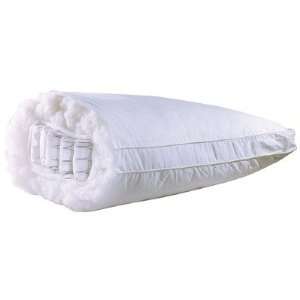  Beautyrest B649CN Pocketed Coil Bed Pillow Health 