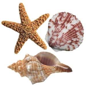   BEaCH SEASHELLS starfish non slip TUB appliques TREADS