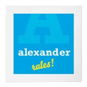  Alexander Rules 20x20 Gallery Wrapped Canvas: Baby