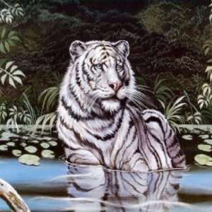  Wading White Bengal Tiger Medium Weight2.1kg (4.6lbs 