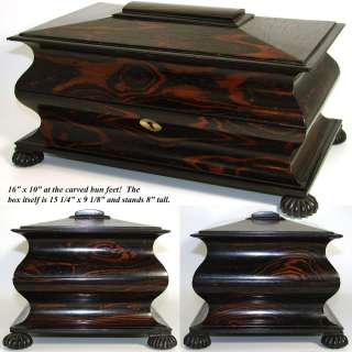 Fab Antique Victorian Tiger or Rosewood 15 Double Well Tea Chest, Tea 