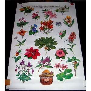 Forest Service Flowers Nature Poster