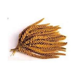    Nemeth Farms Golden Harvest Spray Millet 1 Lb