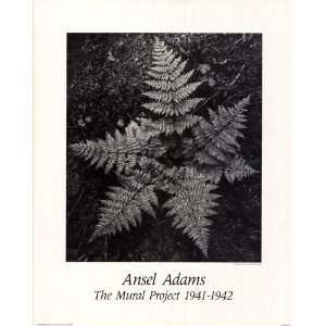  Ansel Adams The Mural Project 1941 1942 Fern   Photography 