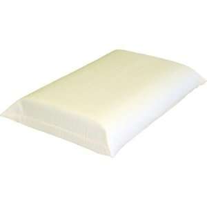  Science of Sleep Polar Foam Memory Foam Bed Pillow: Health 