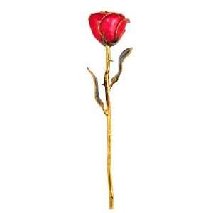  Gold Dipped Ruby Sun Valentines Day Rose: Home & Kitchen
