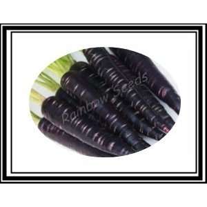 Rainbow Seeds® 200+ Black Knight Carrot Seed~ Near Black Super 