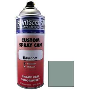  12.5 Oz. Spray Can of Nordic Mist Metallic Touch Up Paint 