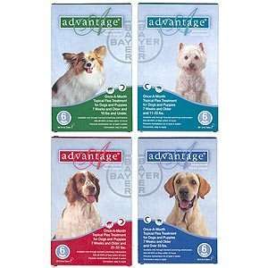   Packs Blue Flea & Tick Treatment  Dog 55 Lbs. & Up: Pet Supplies