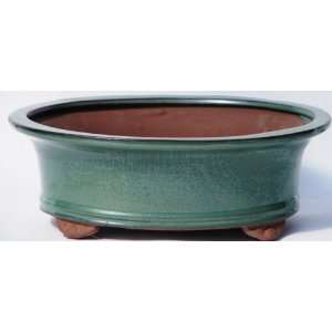  BuyBonsais Bonsai Pot 6 Oval Footed Green Patio, Lawn 