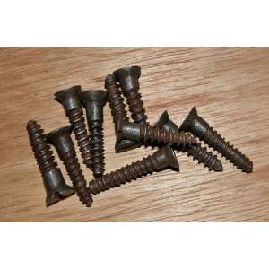  British 19th Century Set of 10 Large Wood Screws 