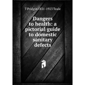   Sanitary Defects / by T. Pridgin Teale Thomas Pridgin Teale Books