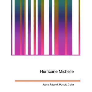  Hurricane Michelle Ronald Cohn Jesse Russell Books