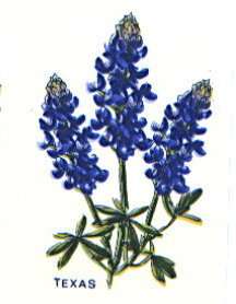 Ceramic Decals Texas Bluebonnet Blue Floral  