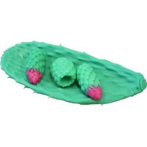  Cactus Soap Dish Set