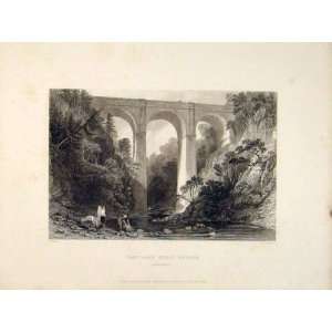   Cartlane Crags Bridge Lanarkshire Old Print Scotland