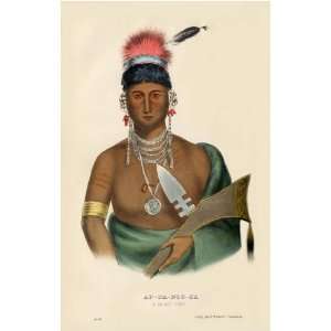  AP PA NOO SE, a Saukie Chief McKenney Hall Indian Print 