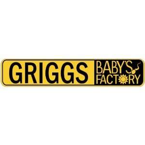  GRIGGS BABY FACTORY  STREET SIGN