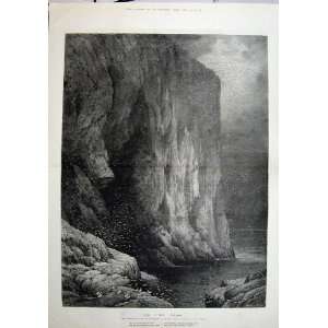    1881 Linton Fine Art Cliff Sea Birds Puffins Rocks