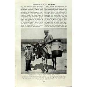   c1920 VENEZUELA WATER CARRIER DONKEY WAIOMGOMO INDIANS