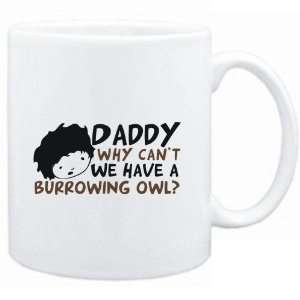   Daddy why can`t we have a Burrowing Owl ?  Animals