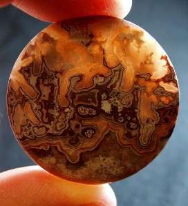 Crazy Lace Agate Collectors Cabochon HS WoW  