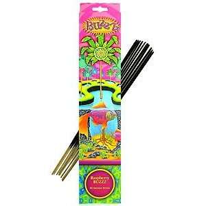  Raspberry Buzzz   Gonesh Stick Incense: Home Improvement