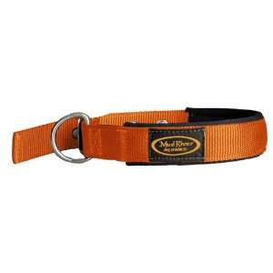  The Mud River Dog Swagger Collar Orange Small Puppy Collar 