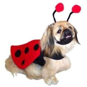 Lady Bug Dog Costume: Pet Supplies