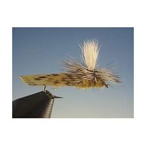  Parachute Golden Stonefly: Sports & Outdoors