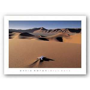  Oryx Bone, Namib Desert, Namibia Poster Print