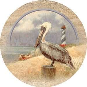  Pelican Coaster Set by Thirstystone: Home & Kitchen