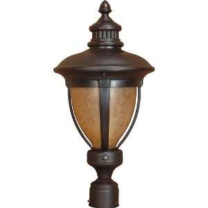   Light Post Lights & Accessories in Old Penny Bronze: Home Improvement