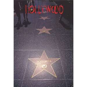   STARS ON HOLLYWOOD BOULEVARD, HOLLYWOOD Mickey Mouse Hollywood Star