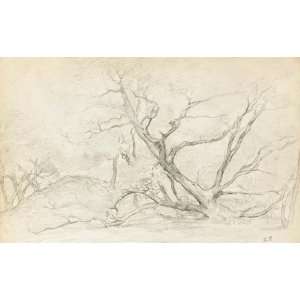     Camille Pissarro   24 x 14 inches   Les arbres