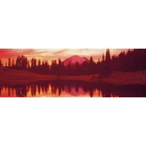 com Reflection of Trees in Water, Tipsoo Lake, Mt Rainier, Mt Rainier 
