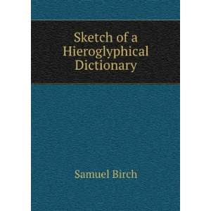  Sketch of a Hieroglyphical Dictionary Samuel Birch Books