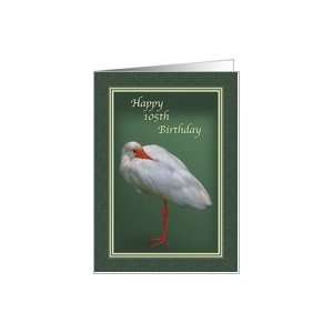  Birthday, 105th, White Ibis Bird Card: Toys & Games