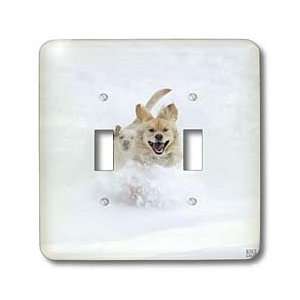 Kike Calvo Animals   Dogs playing in the snow   Light Switch Covers 