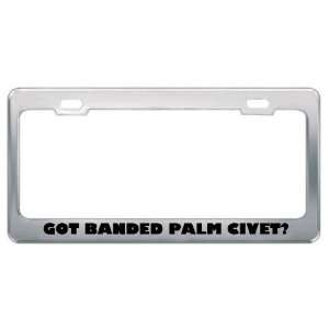 Got Banded Palm Civet? Animals Pets Metal License Plate Frame Holder 