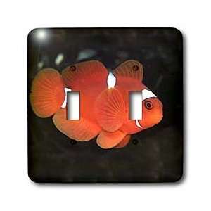  Tropical Fish   Clownfish   Light Switch Covers   double 