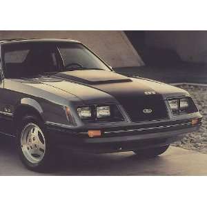  1983 84 GT Stripe & 4 Names Kit   SILVER/BLACK: Automotive