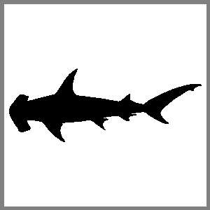Hammerhead Shark 8 inch Auto Window Stickers Decal Jaws  