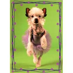  Chinese Crested Ballerina Friendship Card 