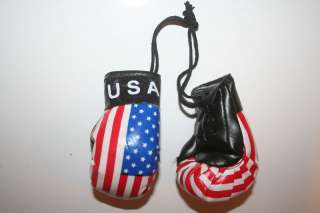 USA COUNTRY FLAG PAIR MINIATURE BOXING GLOVES NEW  