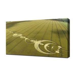 Crop Circle 1   Canvas Art   Framed Size 16x24   Ready To Hang